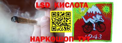 шишки Краснокаменск